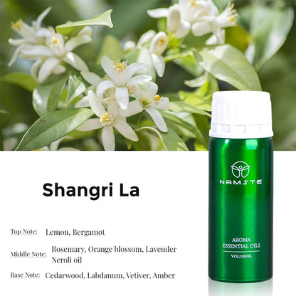 Electric Aromatic Essential Oil, Diffuser device